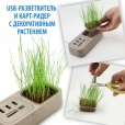 USB-хаб с декоративным растением